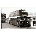 Black & White Photograph of Newport Corporation...