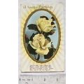 1911 postcard A Happy Birthday - Roses
