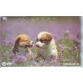 Puppies V3 Japan NTT Phone Card