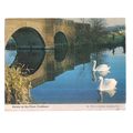 SWANS ON THE FLEET, COOKHAM Cookham W.I. postca...