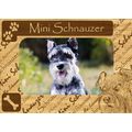 Mini Schnauzer w Paws Engraved Wood Picture Fra...