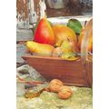 D023686 Mayer. Le Scanff. The Garden Picture Li...