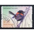 Australia 2023 Fairy Wrens - Red-backed Fairy W...