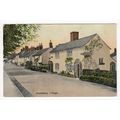 Prestbury Village 1912 Postcard Cheshire