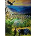 Tennessee Mountains with Black Bear and Eagle F...