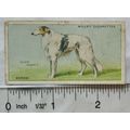 1937 Wills Dogs No. 5 Borzoi