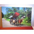 A BULLOCK CART, MALACCA, MALAYSIA unused postca...