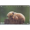 Puppy Sleeping On Trunk Japan NTT Phone Card