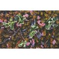 K1512: Moorland Plants