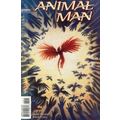 Animal Man (Vol 1) # 079 NM MODERN AGE COMICS