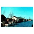 Fishing Fleet Delivering to Tom Lazio Fish Co. ...