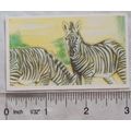 Brooke Bond Going Wild No. 13 Grevy's Zebra, Wi...