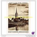SALISBURY CATHEDRAL, WILTSHIRE, Book Illustrati...