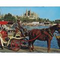 Palma de Mallorca Bahia y Catedral Spain Pictur...