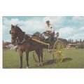 Two Wheeled Horse And Cart Postcard (MV20206)