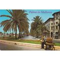Palma de Mallorca Paseo Sagrera SpainPostcard u...