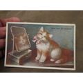 1929 fr German Postcard - Kitten & The Mirror -...