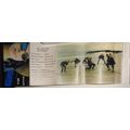 BLUE SEA - Eyes Blue - Rare Hard Rock Demo Cass...