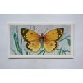 1958 Swettenham tea card Butterflies & Moths No...