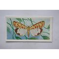 1958 Swettenham tea card Butterflies & Moths No...