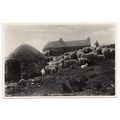 A Highland Homestead J B White RP Postcard 9687
