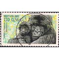 GERMANY, MAMMALS: Mountain Gorilla, green 2001,...