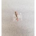 Fiona Swarovski Wedding Band 18K Rose Gold Size...
