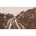 RP Railway Cutting Surbiton Kingston on Thames ...