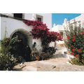 Cyprus village Postcard unused VGC