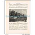 Cliefden Woods, River Thames, England, Book Ill...