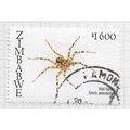 ZIMBABWE 2003 AFRICAN SPIDERS FAUNA ENVIRONMENT...