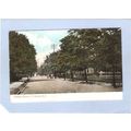 New Jersey Trenton Clinton Ave Horses & Wagons~...