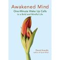 Awakened Mind by David Kundtz, paperback, good ...
