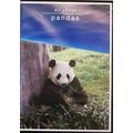All About Pandas [DVD]