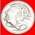 DUCKBILL PLATYPUS (1966-2022): AUSTRALIA ★ 20 C...