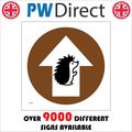 SIGN HEDGEHOGS NORTH AHEAD STRAIGHTY ON ARROW W...
