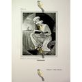 Serena (Miss Sneyd) & Miss Cumberland, Book Ill...