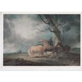 Sawry Gilpin Horses in a Thunderstorm Postcard ...