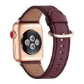 Classic Buckle Leather Replacement Strap Watchb...