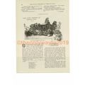 Pavillions, Hampton Court Park, Book Illustrati...