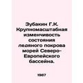 Zubakin G. K. Large-scale variability in the se...
