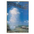 SPOUTING HORN, KAUA'I, HAWAII used postcard 2001 =