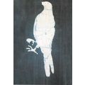 Pie Chambers Blue Parrot Postcard used VGC