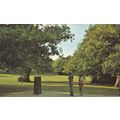 Rufus Stone New Forest Postcard used crease