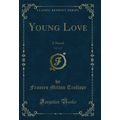 Young Love, Vol. 1 of 3: A Novel (Classic Reprint)