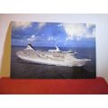 PRINCESS CRUISES CRUISE SHIP, unused postcard =