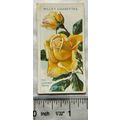 1914 Wills Roses 2nd Series No. 68 Mrs. Leonard...