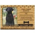 Curly Coated Retriever Engraved Wood Picture Fr...