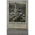 Vintage: The Quantocks, Exmoor Country and The ...