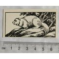 1953 Teddy Bear Lollies Interesting Animals car...
